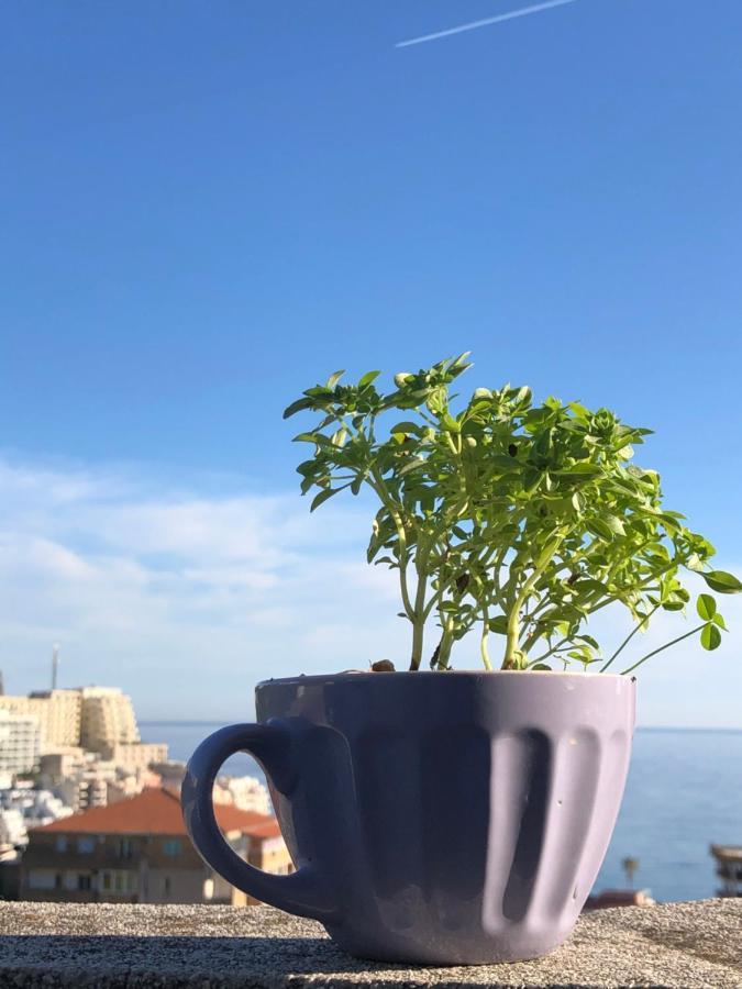 Studio Apartmani Lemon 부드바 외부 사진